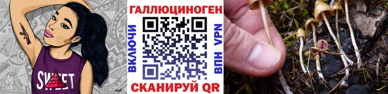 Псилоцибиновые грибы Cubensis Сысерть