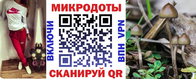 blacksprut маркетплейс  Сысерть  Галлюциногенные грибы Psilocybe 